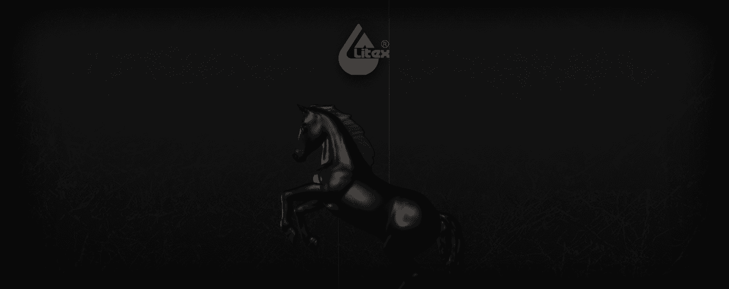 litex website small preview